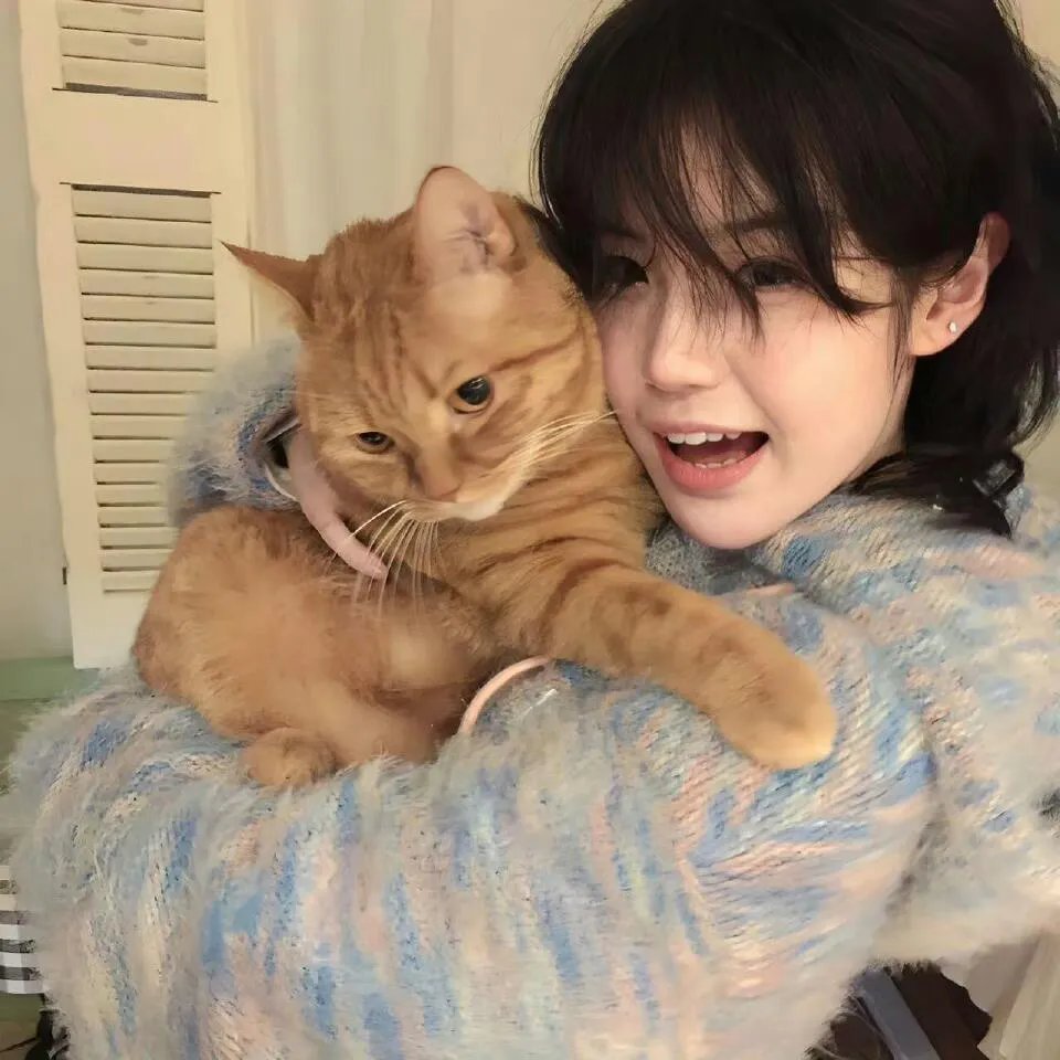 我的宿敌是夫君